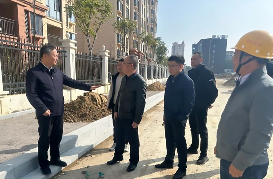 青山湖區(qū)黨委副書(shū)記、區(qū)長(zhǎng)楊育星到利民路項(xiàng)目調(diào)研