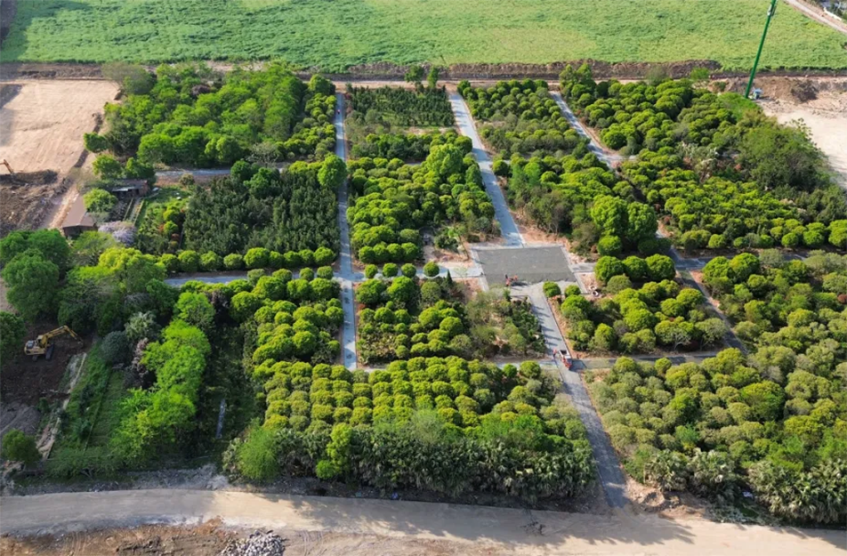 南昌九洲公園稻香園及植物園項(xiàng)目沖刺:農(nóng)旅融合打造生態(tài)文旅新地標(biāo) 南昌九洲公園稻香園及植物園項(xiàng)目沖刺:農(nóng)旅融合打造生態(tài)文旅新地標(biāo)